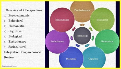 Psychological Perspectives: Analyzing the Enthrallment of Encountering an Enigmatic Individual in Dreamscapes