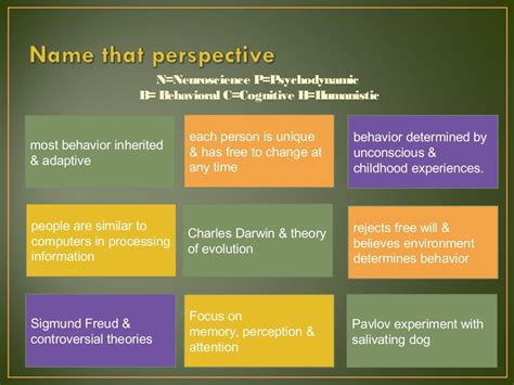 Psychological Perspectives: Analyzing the Interpretation of Fiery Chamber Reveries