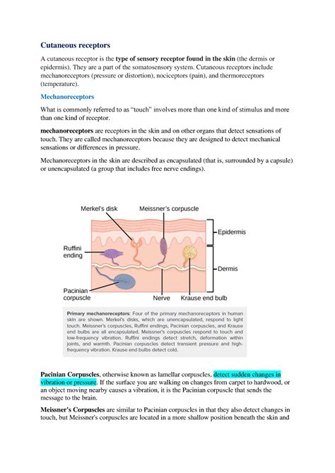 Psychological Perspectives on Dreams of Cutaneous Injuries