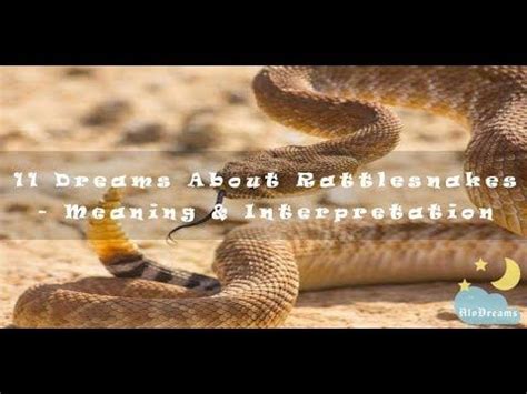 Psychological Perspectives on Dreams of Multiple Rattlesnakes