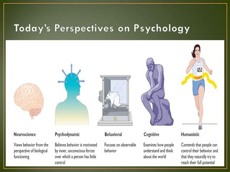 Psychological Perspectives on the Shattered Firearm Vision