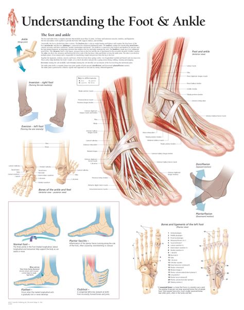 Psychological Significance of Dreams Depicting Abnormalities in Foot Anatomy