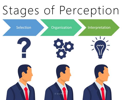 Public Image and Perception of the Popular Personality