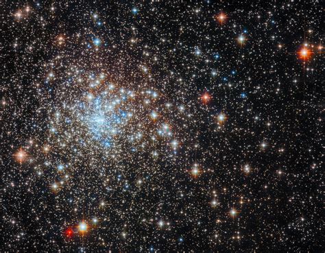 Public Perception and Reception of the Enigmatic Star