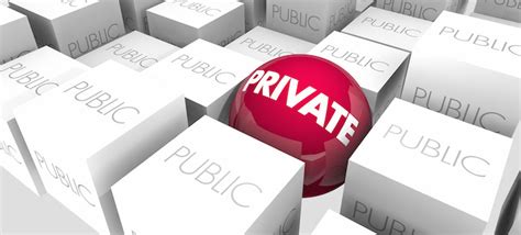 Public Persona vs. Private Life