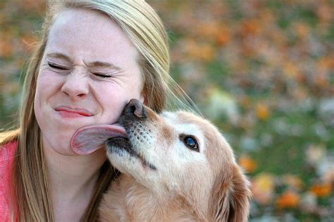 Puppy Kisses: Does Your Dog Actually Enjoy Canine Smooches?