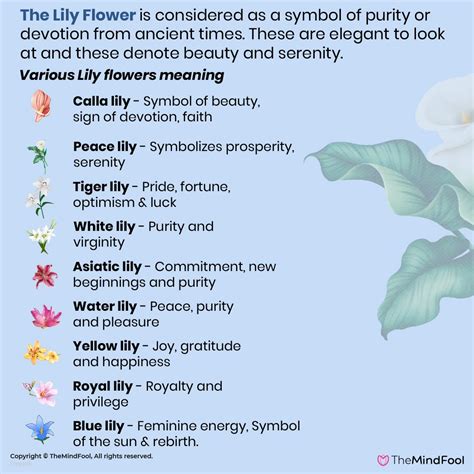 Purity Exemplified: The Symbolism of White Blossoms