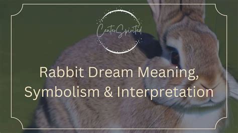 Rabbit Dreams and Personal Transformation: Revealing Cryptic Significance