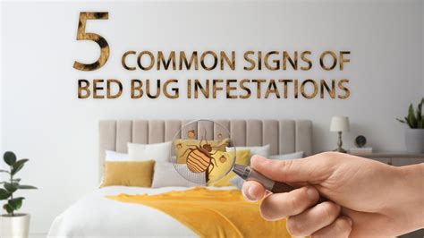 Reaching a State of Serene Slumber: Establishing an Environment Free from Bed Bug Infestations