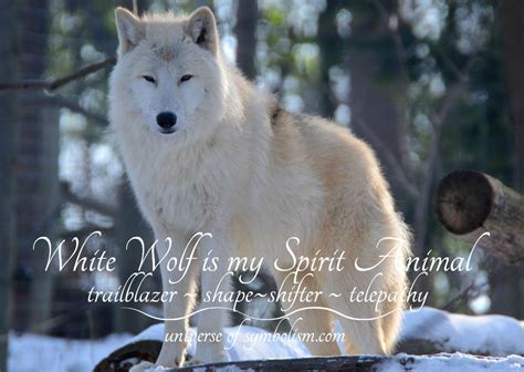 Reclaiming Power: Decoding the Significance of Wolf Pursuit in Dreams for Personal Empowerment