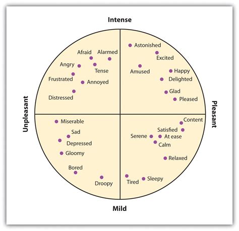 Recognizing the Array of Emotions Experienced