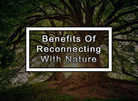 Reconnecting with Nature: Embracing the Earth's Energy Through Barefoot Exploration