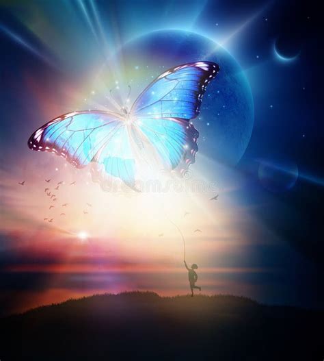 Reflecting on Butterfly Dreams: Unveiling Inner Freedom and Joy