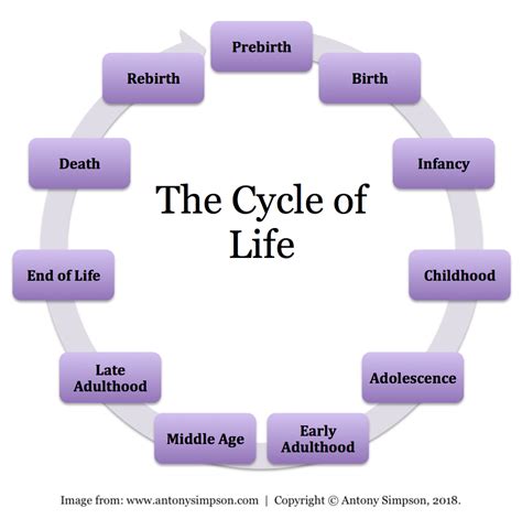 Reflecting on Reproductiveness and the Cycle of Existence in Oneiric Interpretation