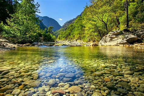 Reflecting on Serene Waters: Contemplating the Clear Water Stream