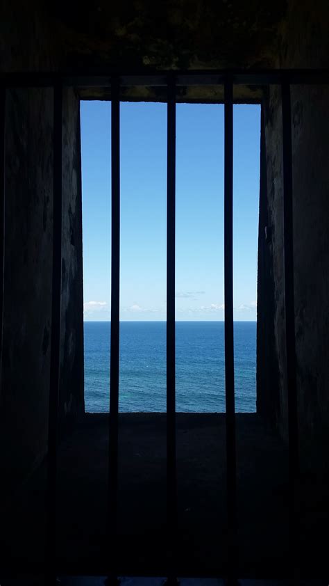 Reflections on Window Dreams: An Exploration of Escape and Freedom