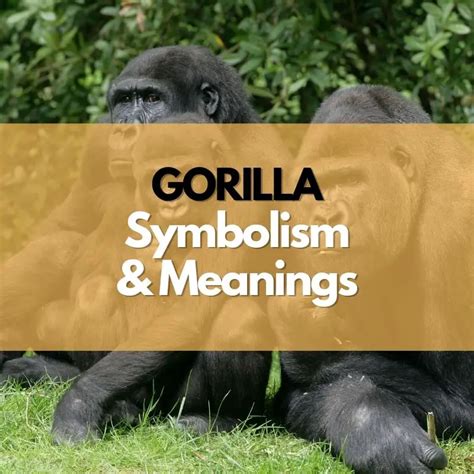 Reflections on the symbolism of gorillas in the realm of mortality