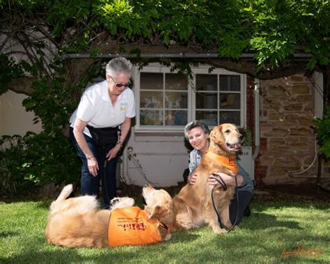 Responsibility and Dedication: The Commitment Involved in Caring for a Canine Companion