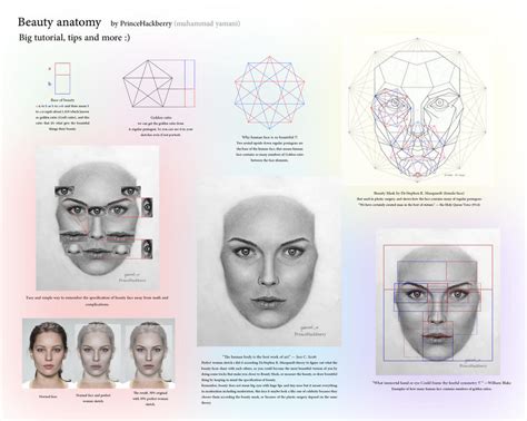 Revealing Beauty: Anatomy and Fashion Secrets