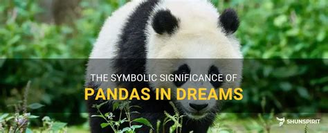 Revealing the Hidden Significance of Panda Dreams