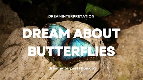 Revealing the Profound Symbolism of Dreaming about Butterflies