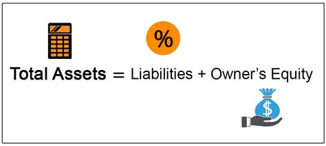 Revealing the Value of the Doll's Total Assets