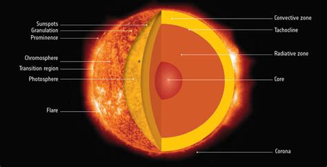 Rise to Prominence of the Sensational Star