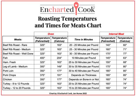 Roasting to Perfection: Timings and Temperature Guidelines for Different Cuts