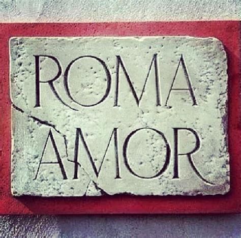 Roma Amor's Future Plans and Projects