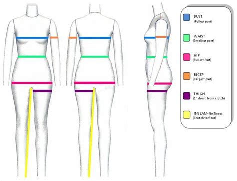 Sarah's Physical Stats: Bust, Waist, Hips