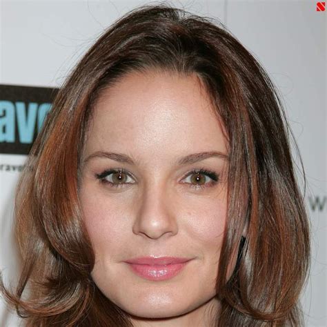 Sarah Wayne Callies: A Brief Biography