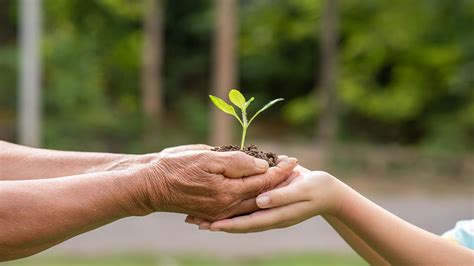 Saving Seeds for Future Success and Sustainability