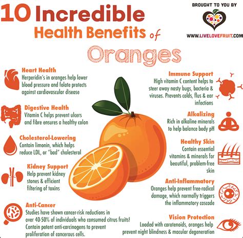 Savoring the Goodness: The Nutritional Benefits of Oranges