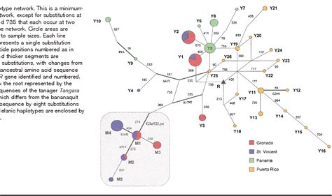 Scientific Explanations: Deciphering the Psychological and Neurological Basis of Avian Plumage Reveries