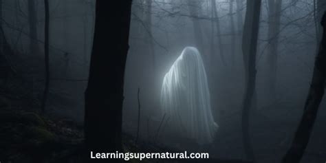 Scientific Explanations for Apparitions of the Phantom Equine