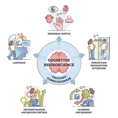 Scientific Perspective: Understanding the Phenomenon through Neuroscience 