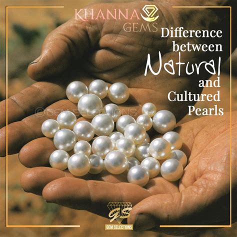 Searching for Pearls: Traditional and Modern Techniques