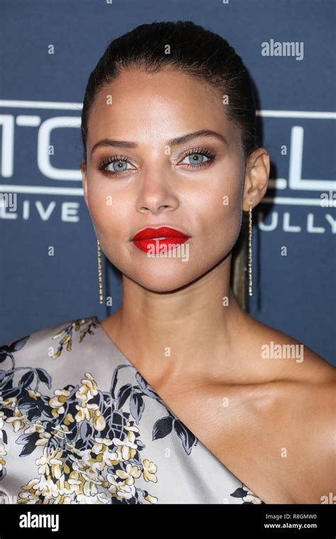 See Denise Vasi's Influence on Social Media