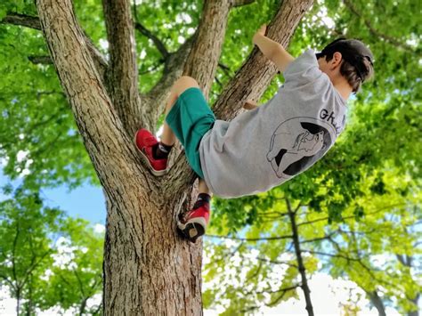 Seeking Growth and Progress: Exploring the Significance of Climbing Up A Tree in Dreams