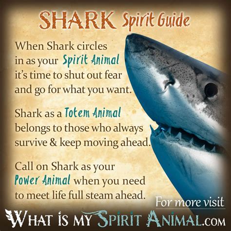 Seeking Guidance: Unveiling the Meaning and Practical Application of Shark Dreams for Personal Growth