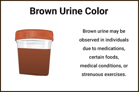 Seeking Medical Advice: Could the Presence of Brown Urine in Dreamscapes Indicate Potential Health Concerns?