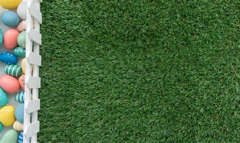 Selecting the Ideal Turf: Ensuring Optimal Performance and Safety