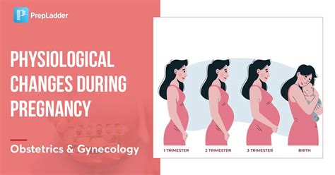 Sensory Changes During Pregnancy and Its Impact on Food Preferences