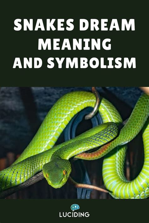 Serpent Society: Exploring the Symbolic Meanings of Snakes in Dream Imagery