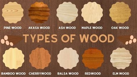 Significance of Different Types of Wood Encountered in Dreams Where it is Found in the Mouth