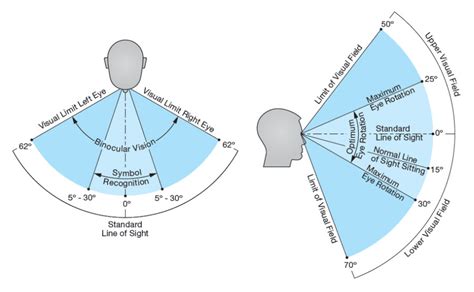 Significance of Hair in the Field of Vision - What Do They Symbolize?