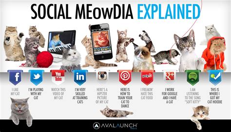 Significance of Ruda Cat on Social Media