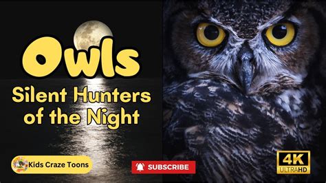 Silent Hunters of the Night: The Secrets of Nocturnal Predators