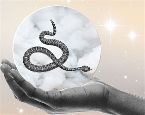 Snake Attacks in Dreams: Decoding their Symbolic Significance