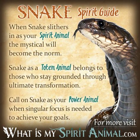 Snake Symbolism: A Universal Archetype